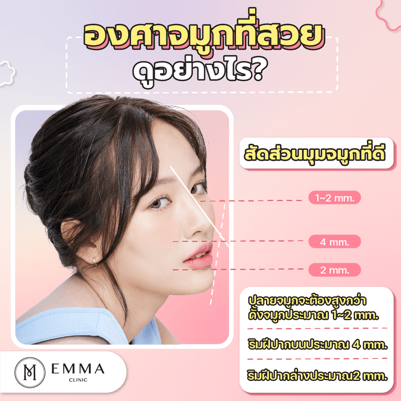 สัดส่วนทองคำ2 04 What is the best nose augmentation? EMMA CLINIC